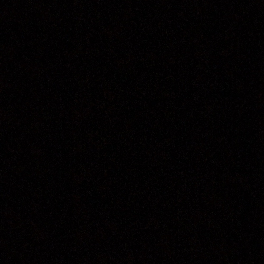 Meet your Posher, Abbigail